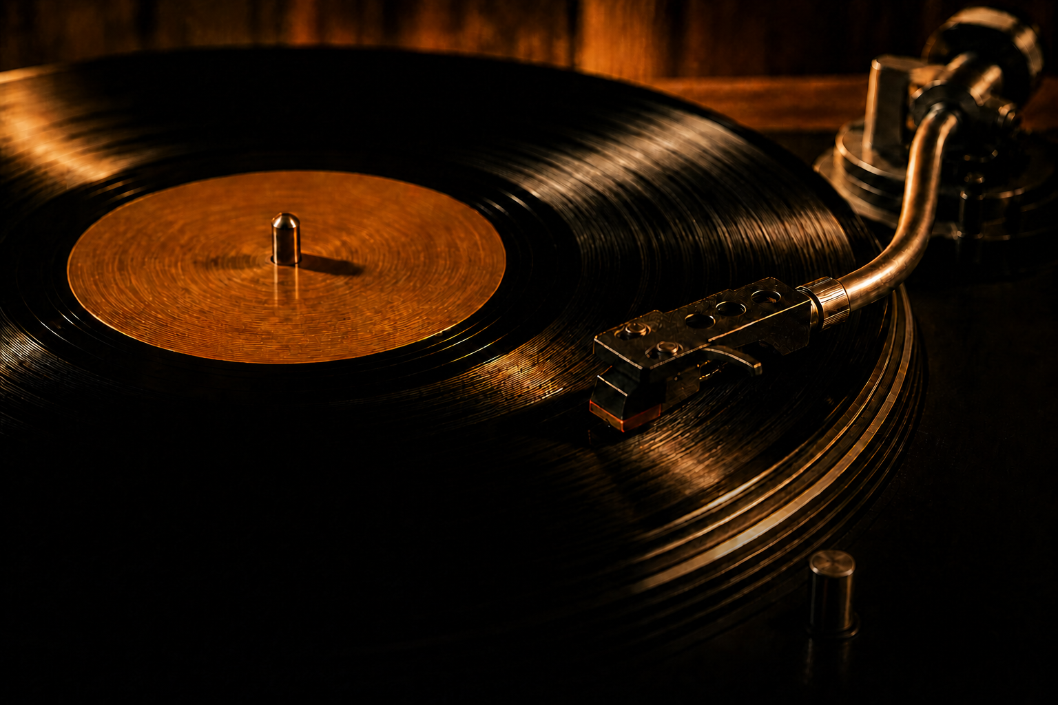Vinyl by Salm